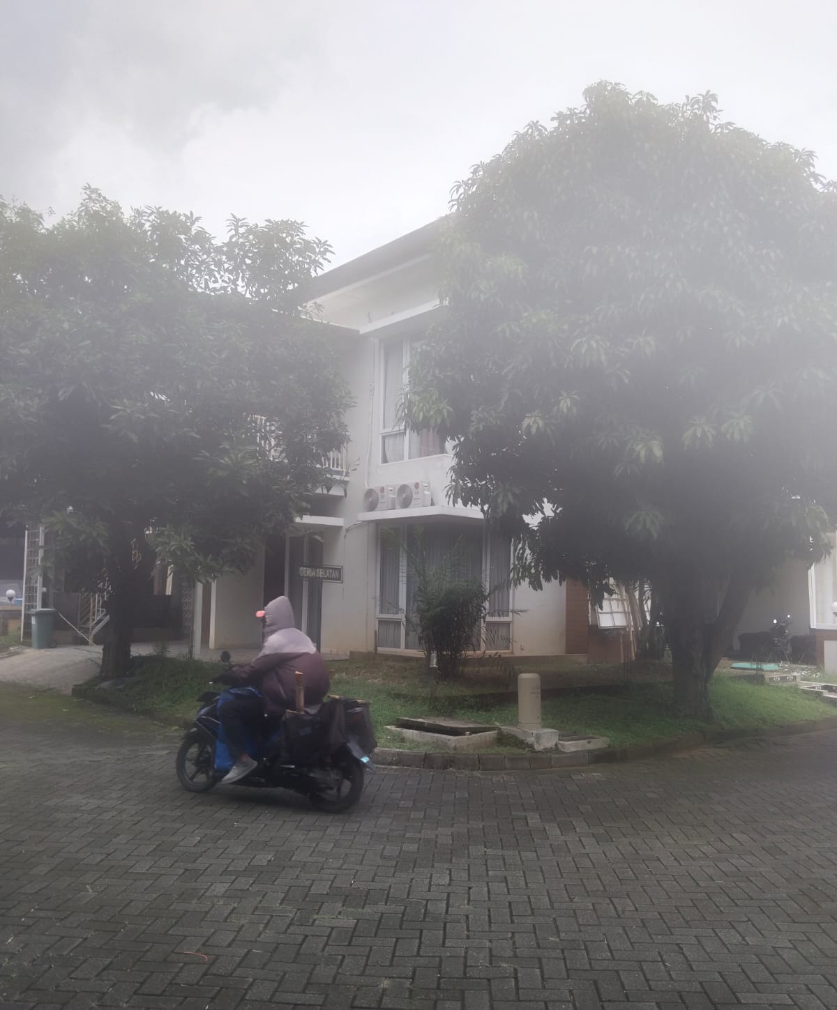 image_picture_02