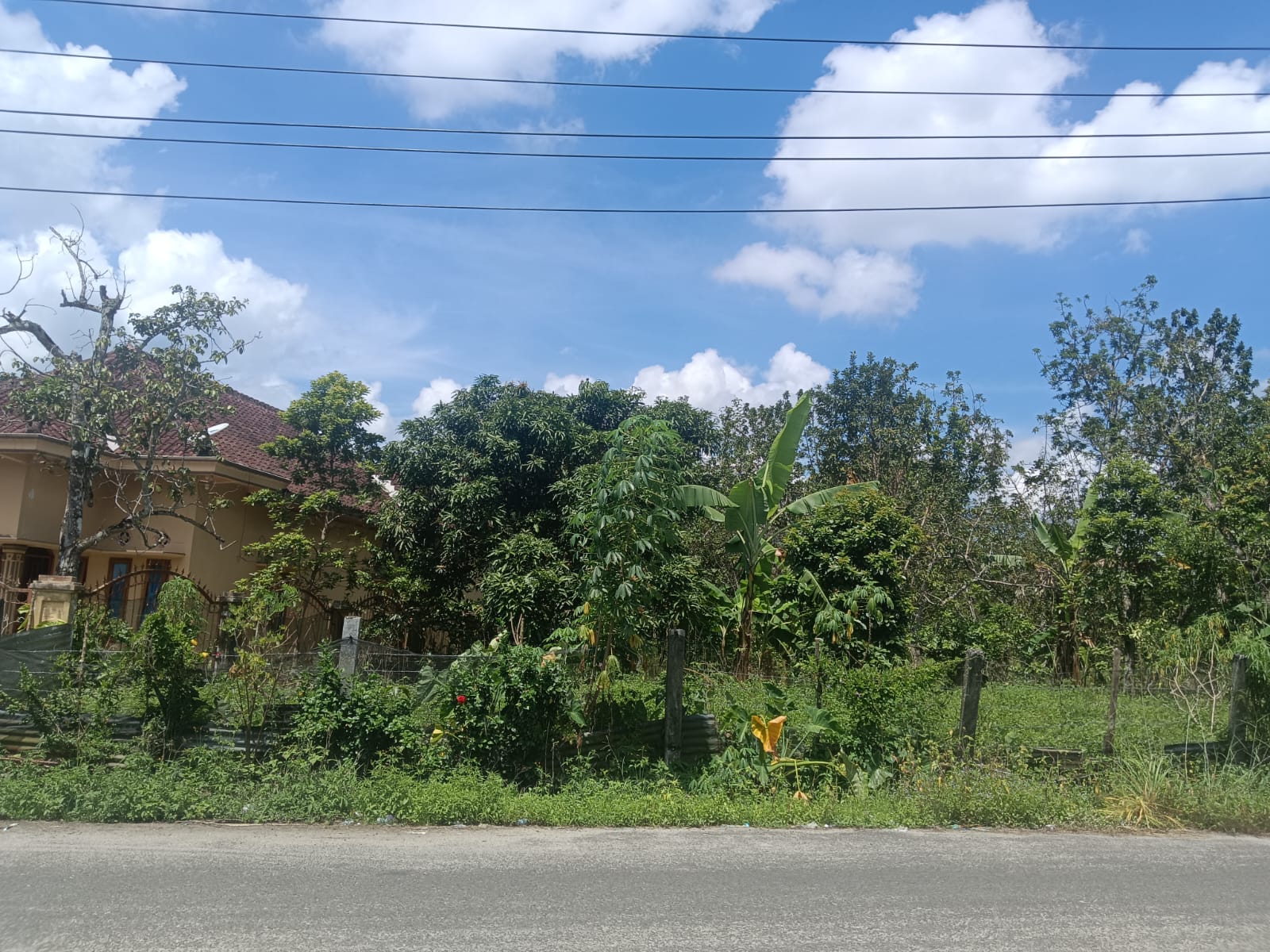 image_picture_02