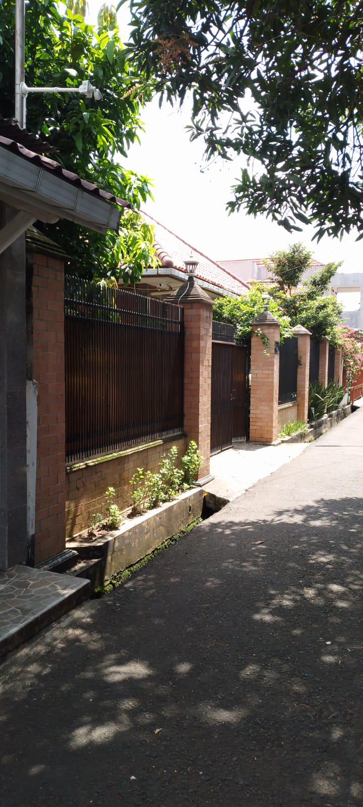 image_picture_02