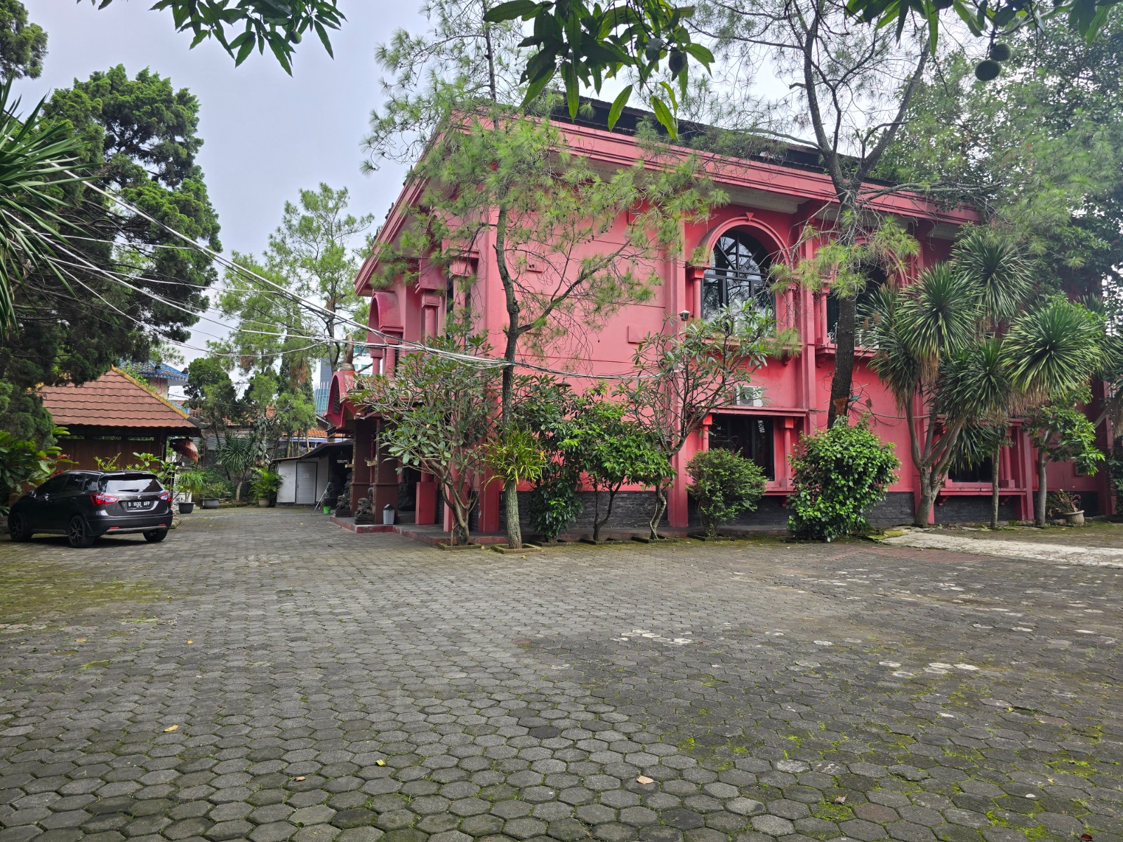 image_picture_02