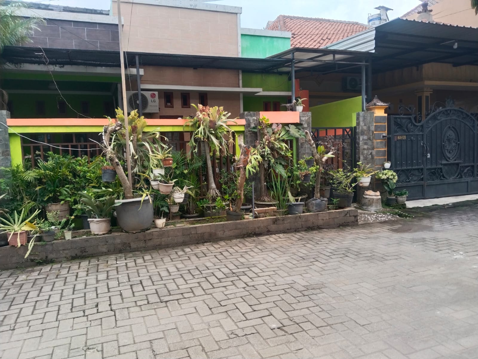 image_picture_02