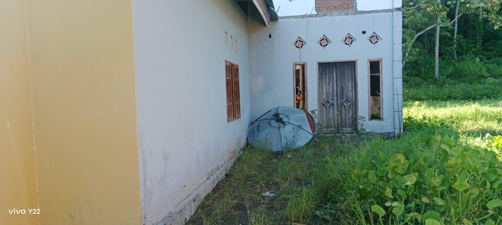 image_picture_02