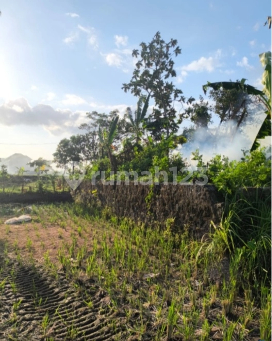 image_picture_03