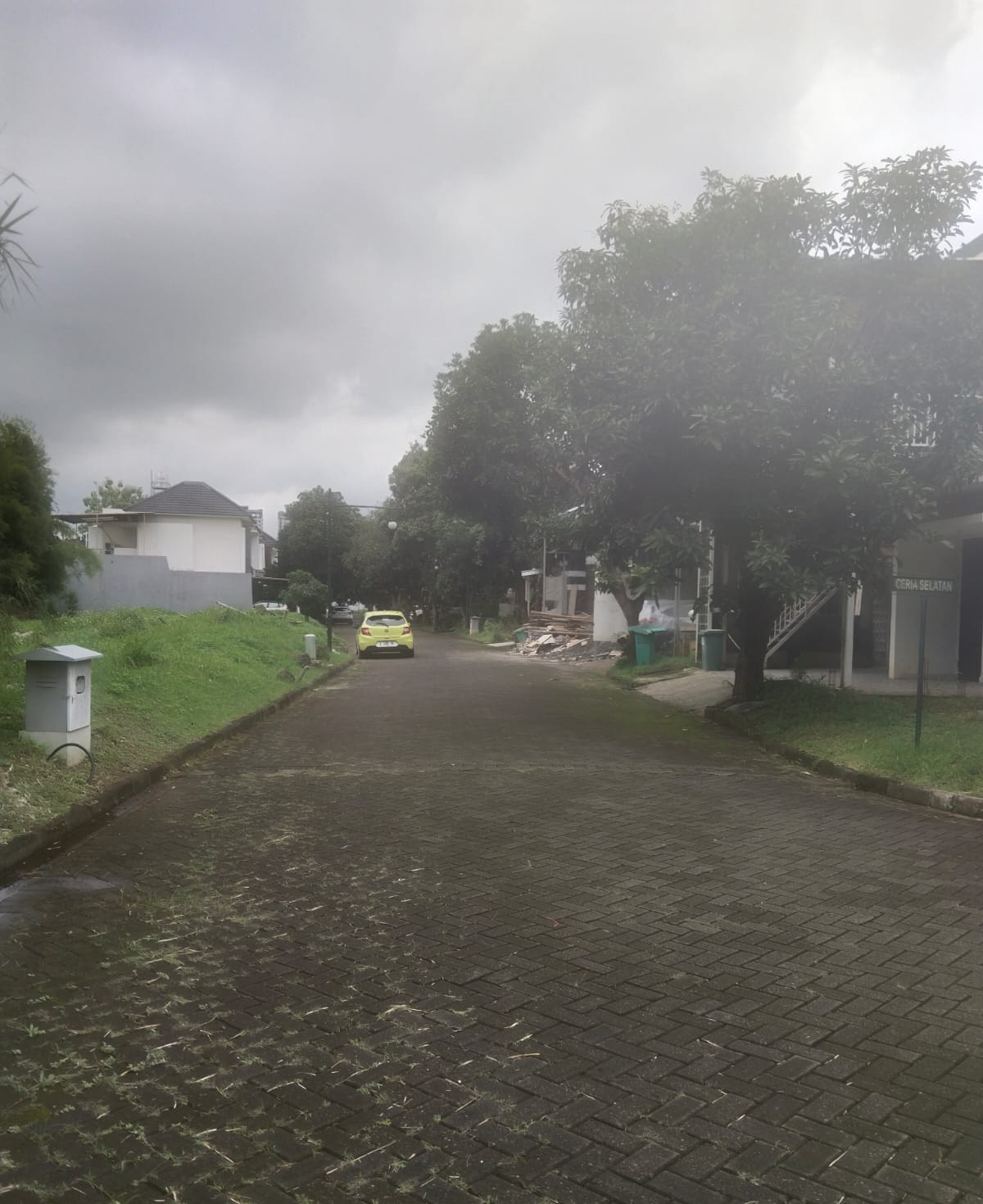 image_picture_03