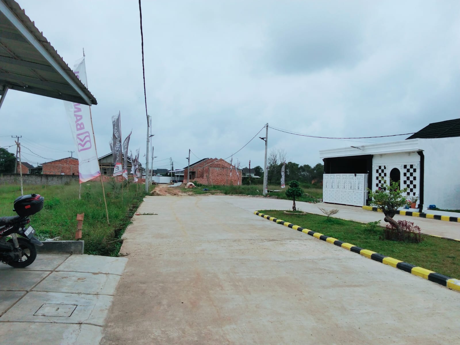 image_picture_03