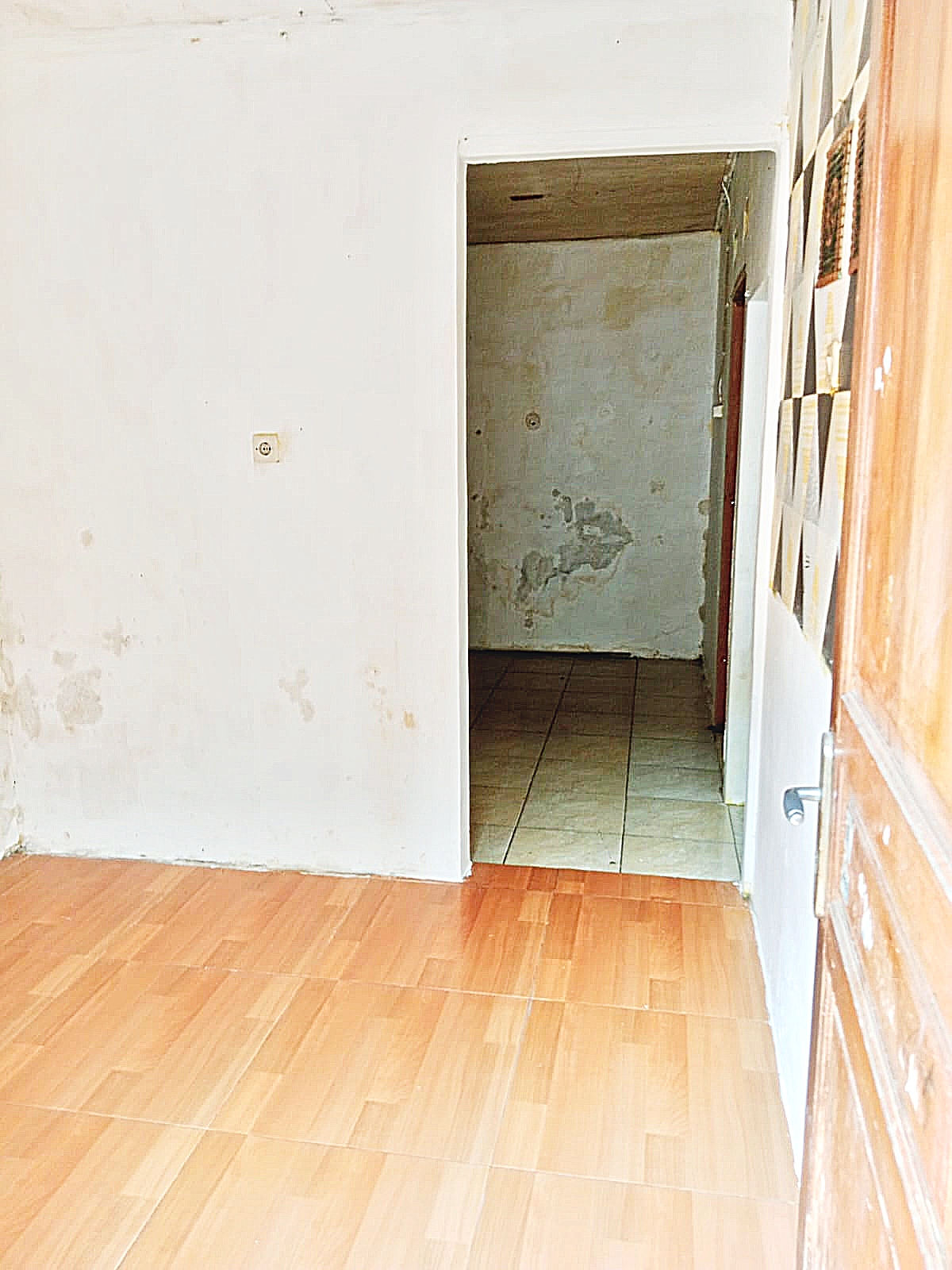 image_picture_04