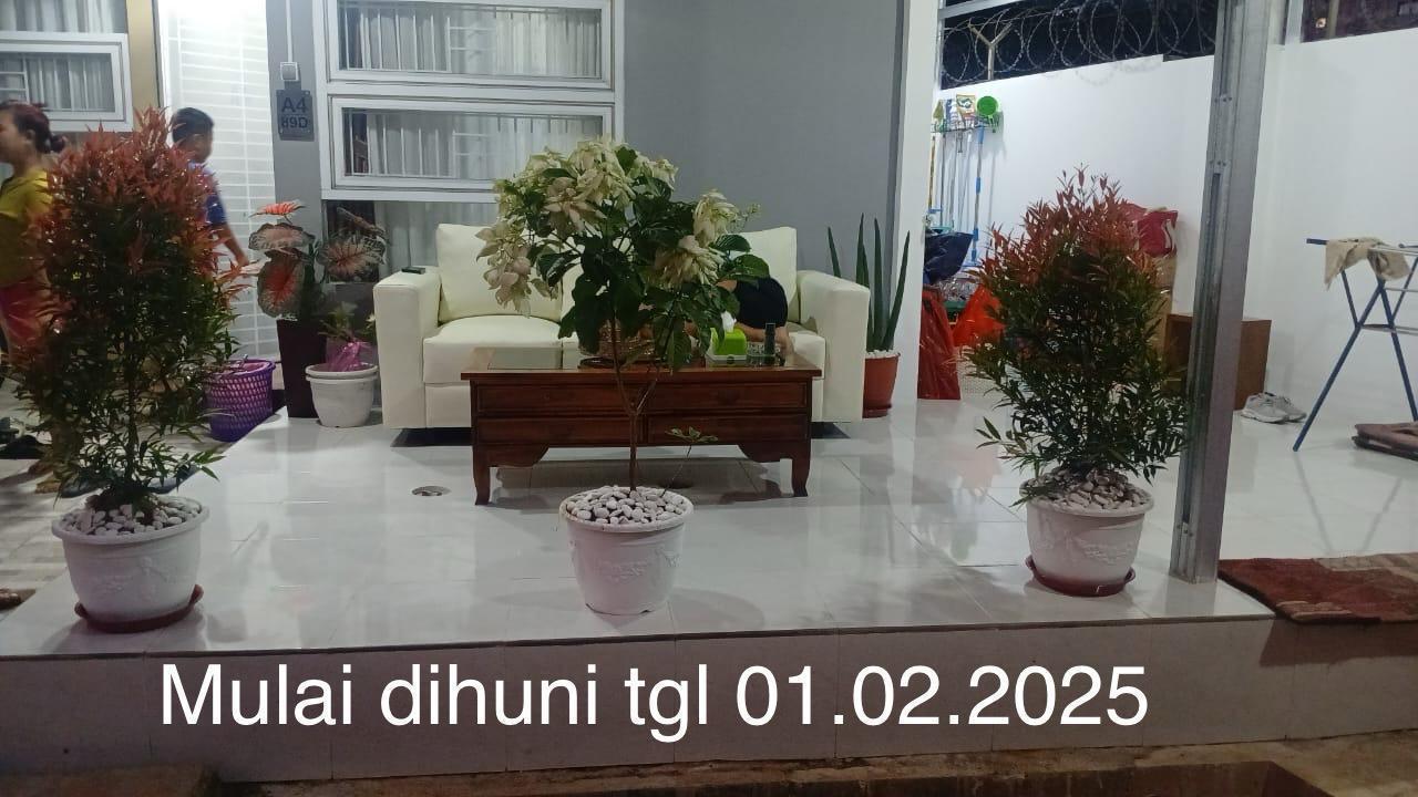 image_picture_04