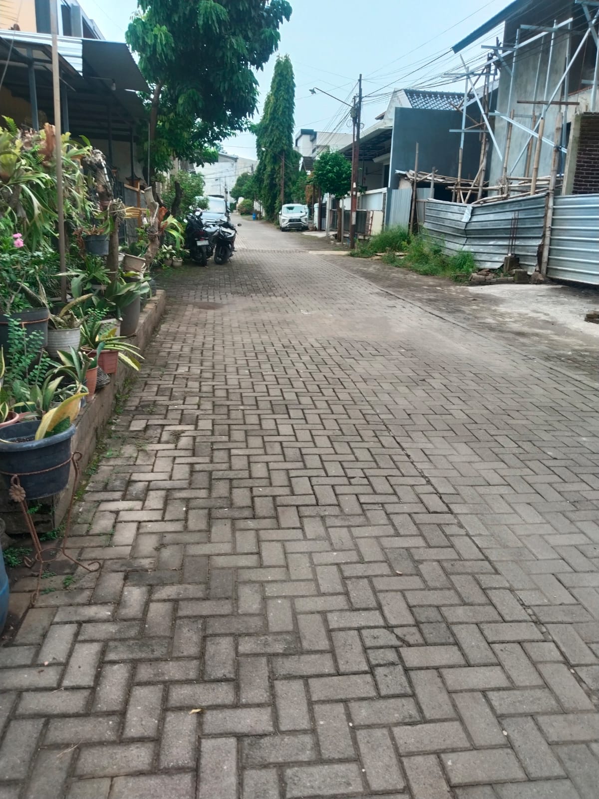 image_picture_05