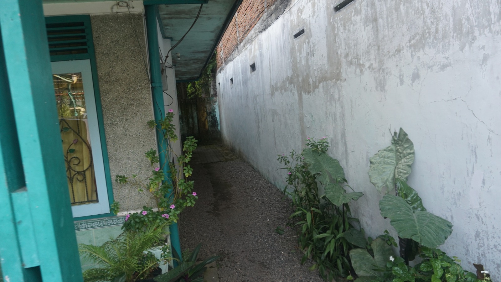 image_picture_05